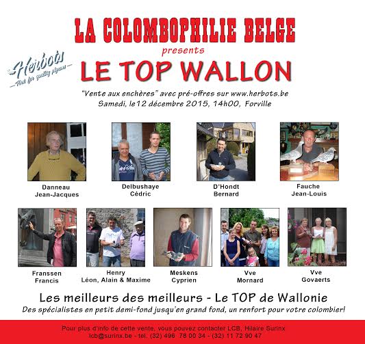 Top Wallon